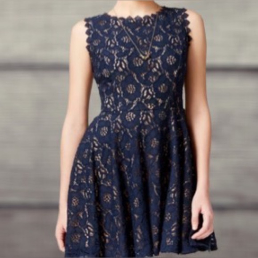 City Studio Navy and Beige Lace Dress